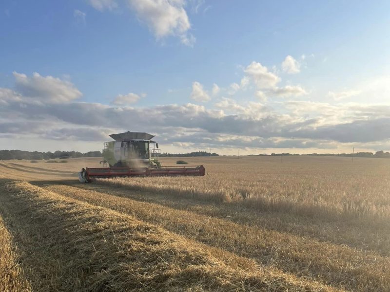 cima-maskin (2) cima-maskin (2)